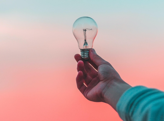 Hand holding a lightbulb